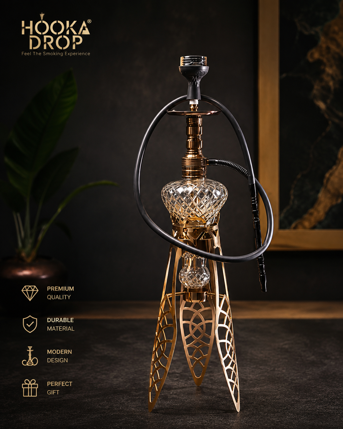 Octopus Luxury
